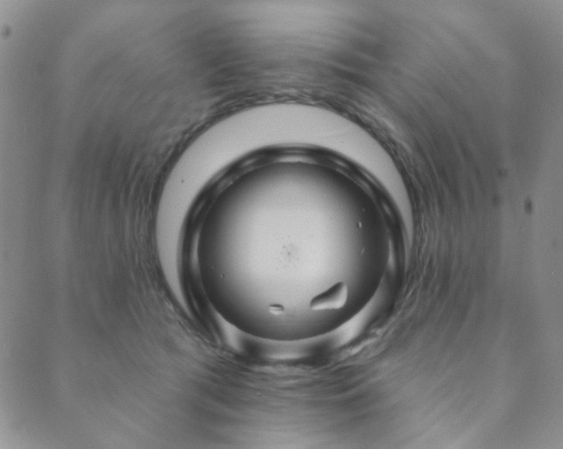 X0000089660417200706211134