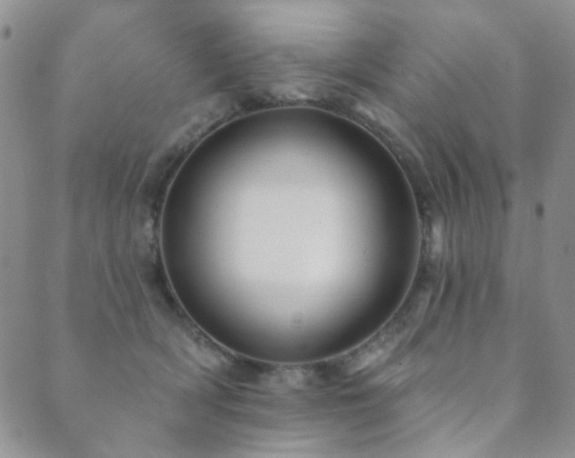 X0000089660418200706211134