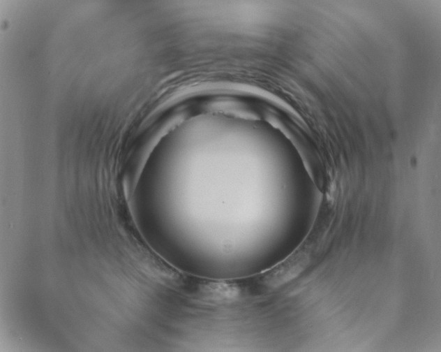 X0000089660421200706211134