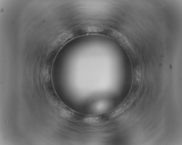 X0000089660422200706211133