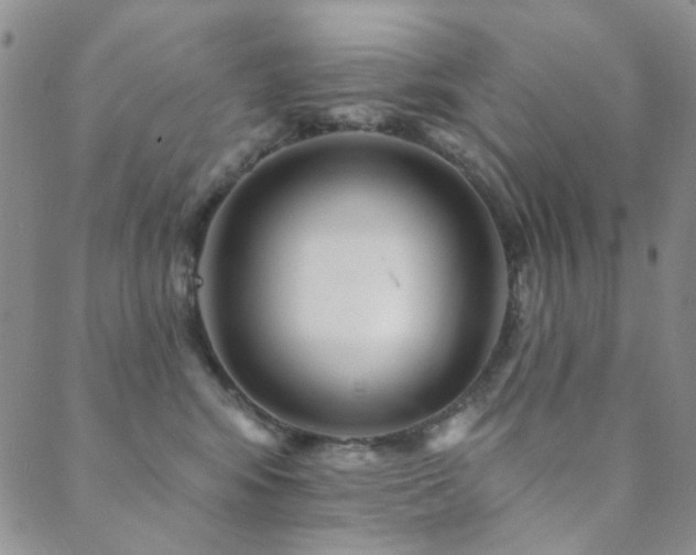 X0000089660424200706211133