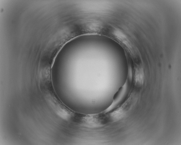 X0000089660425200706211133