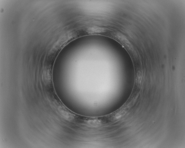 X0000089660426200706211133
