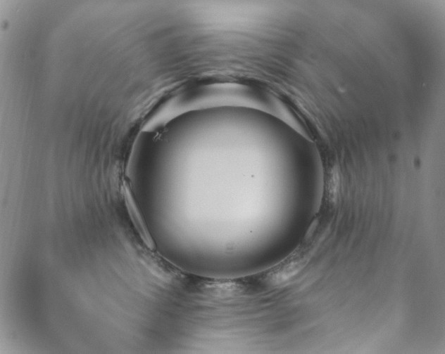 X0000089660428200706211133
