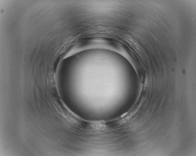 X0000089660429200706211133