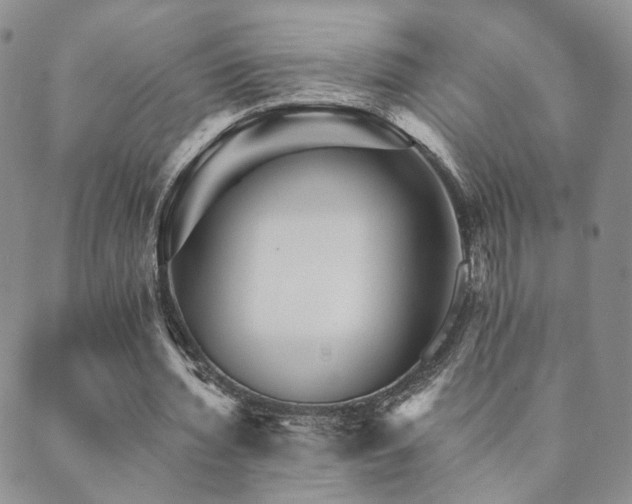 X0000089660436200706211133