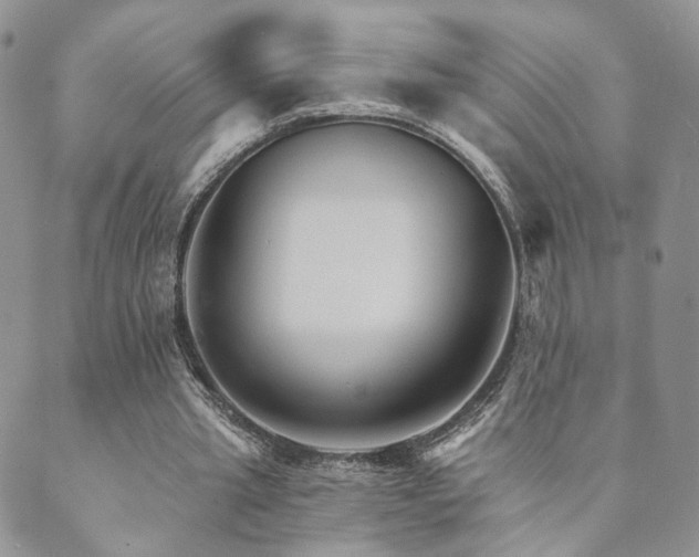 X0000089660437200706211133