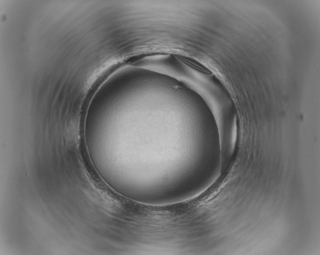 X0000089660438200706211133