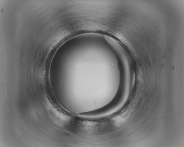 X0000089660440200706211133