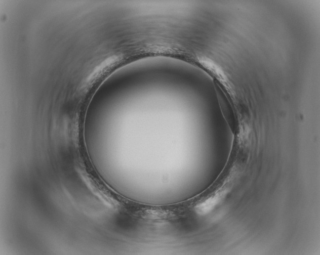 X0000089660442200706211133