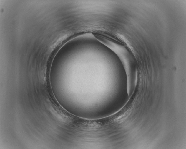 X0000089660443200706211133