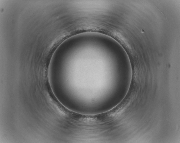 X0000089660449200706211133