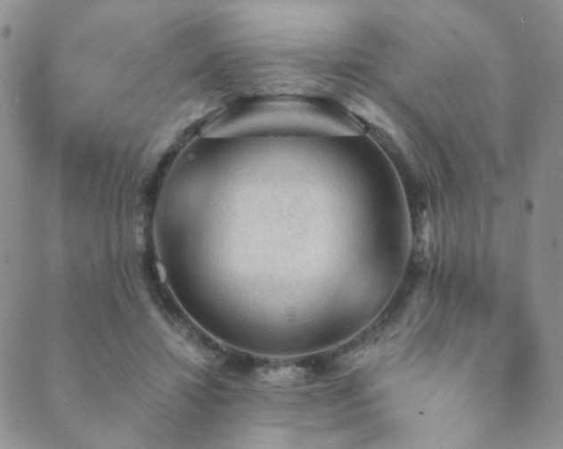 X0000089660452200706211133