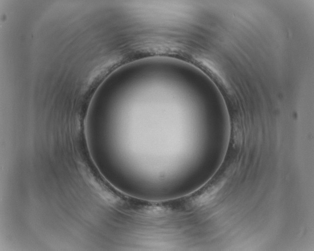 X0000089660453200706211133