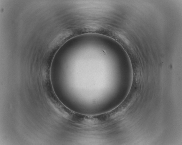 X0000089660455200706211133