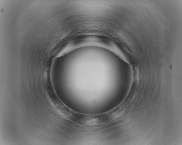 X0000089660456200706211133