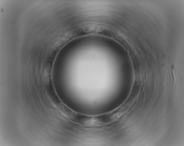 X0000089660460200706211133