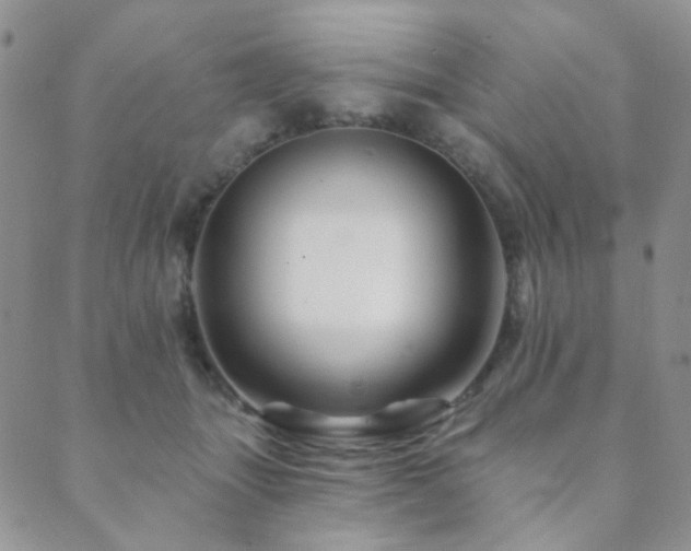 X0000089660463200706211133