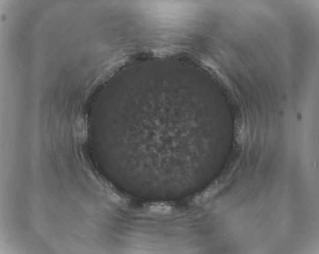 X0000089660471200706211133