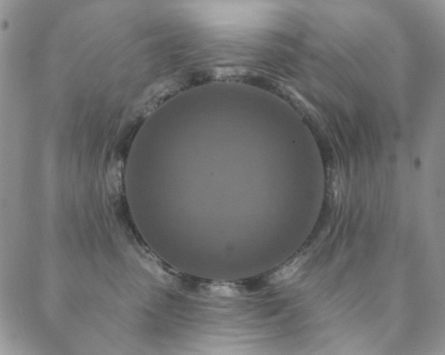 X0000089660475200706211133