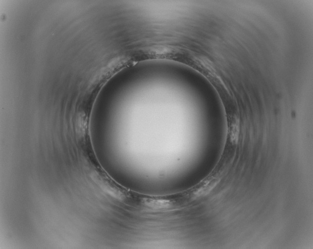 X0000089660476200706211133