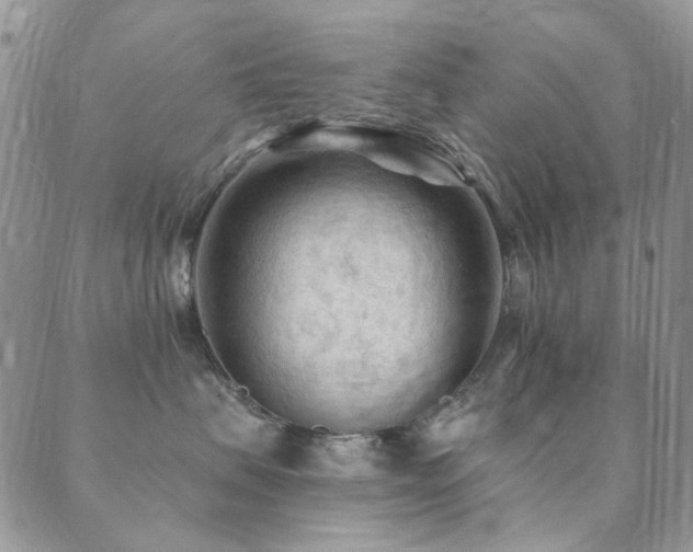 X0000089660479200706211133