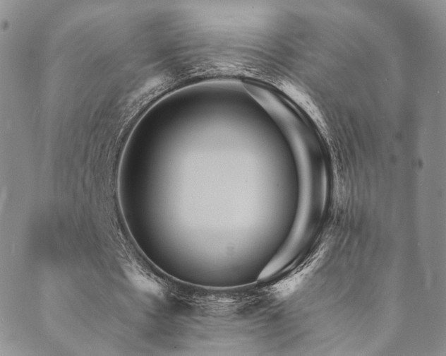 X0000089660481200706211133