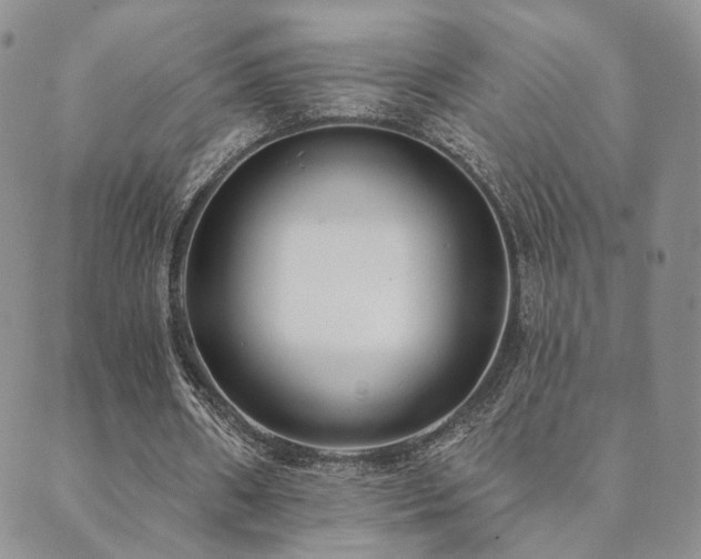 X0000089660482200706211133