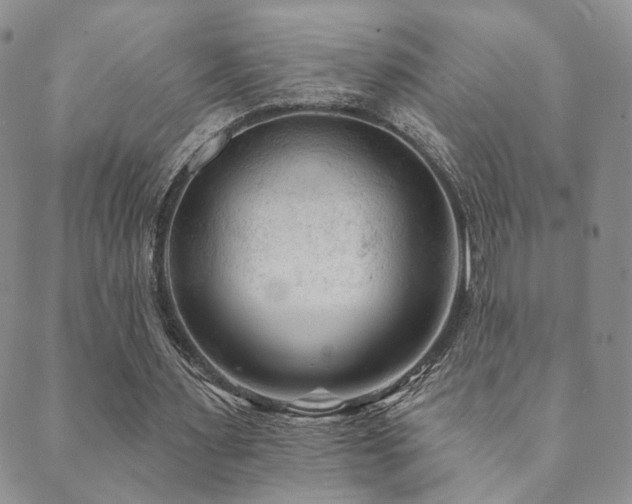 X0000089660483200706211133