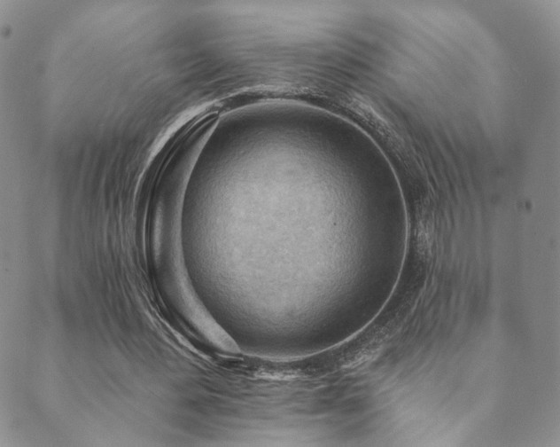 X0000089660484200706211132