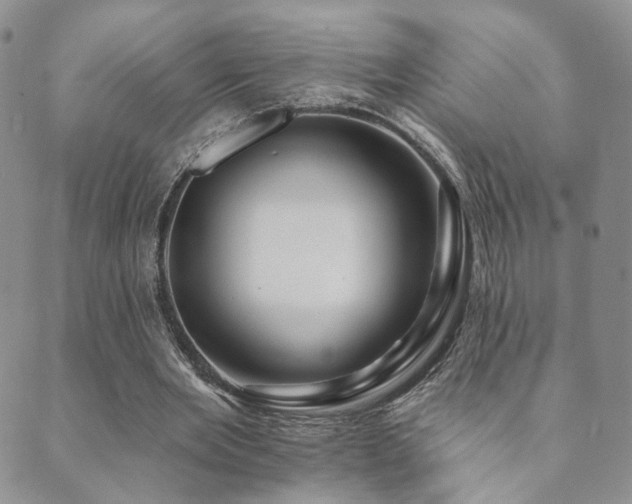 X0000089660485200706211132