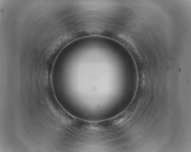 X0000089660498200706211132