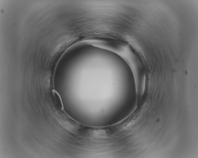 X0000089660501200706211132