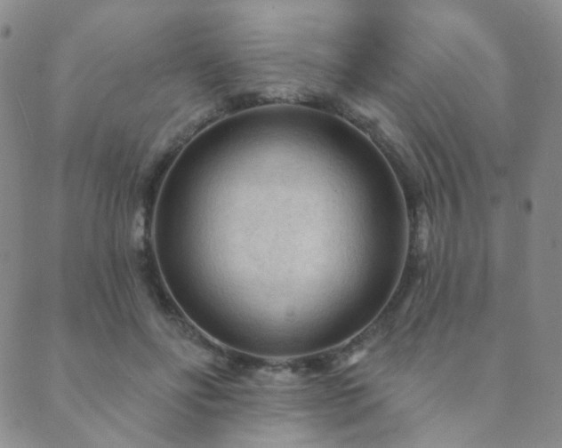 X0000089660502200706211132