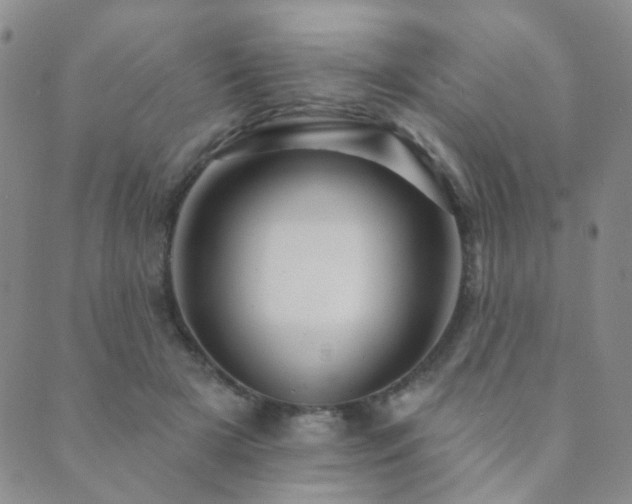 X0000089660505200706211132