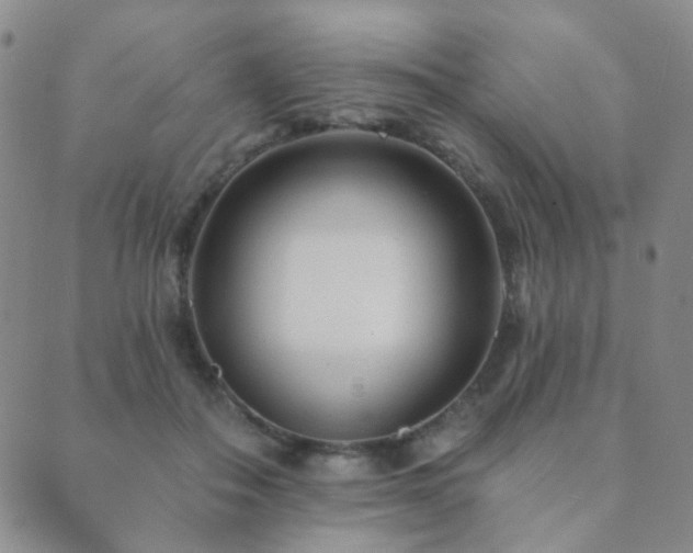 X0000089660506200706211132