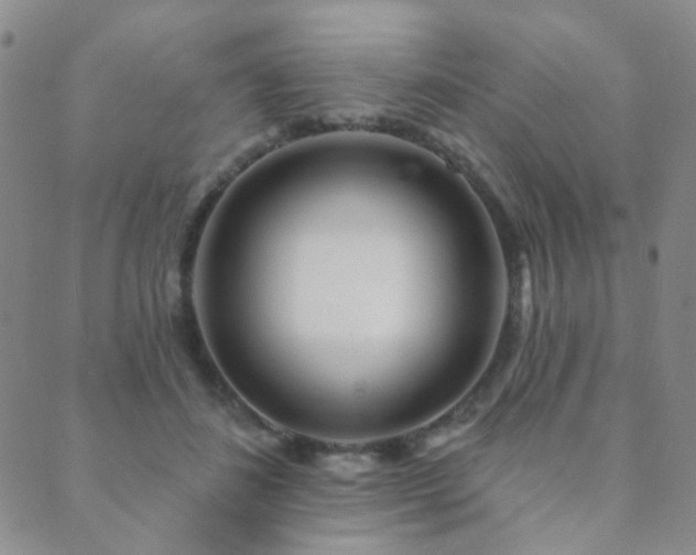 X0000089660508200706211132