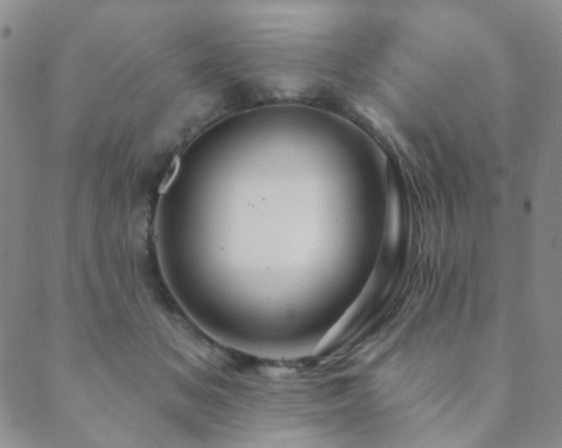 X0000089660509200706211132