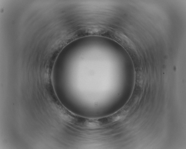 X0000089660510200706211132