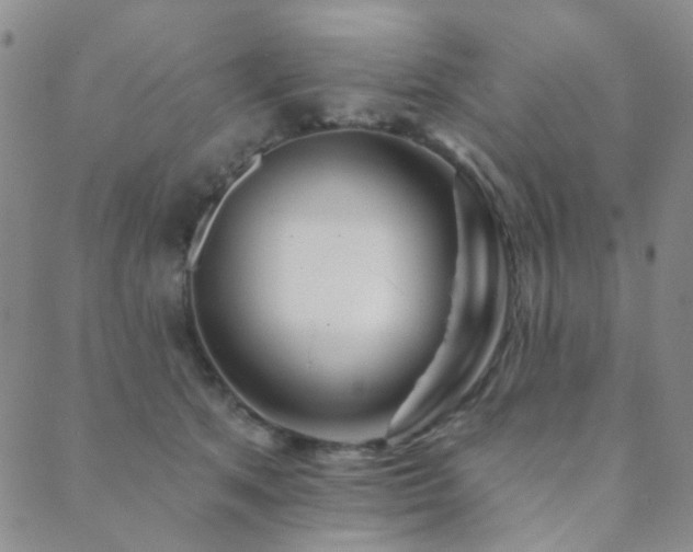 X0000089660513200706211132