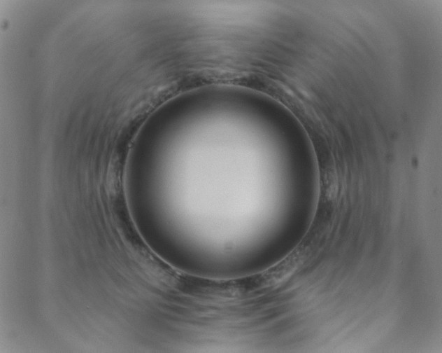 X0000089660515200706211132