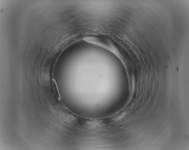 X0000089660516200706211132