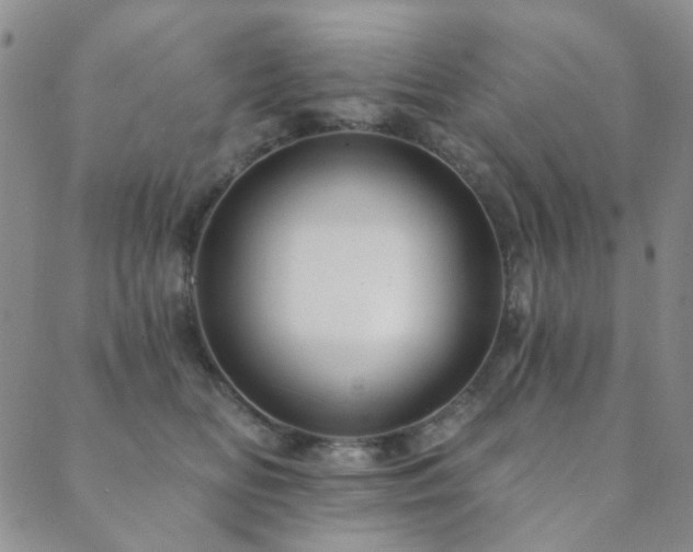 X0000089660518200706211132