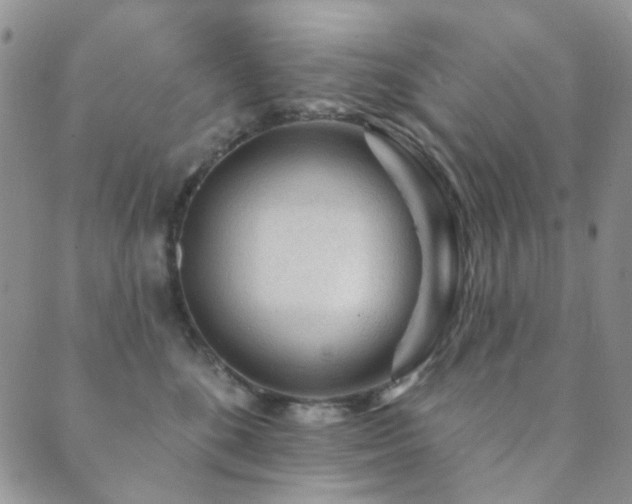 X0000089660520200706211132