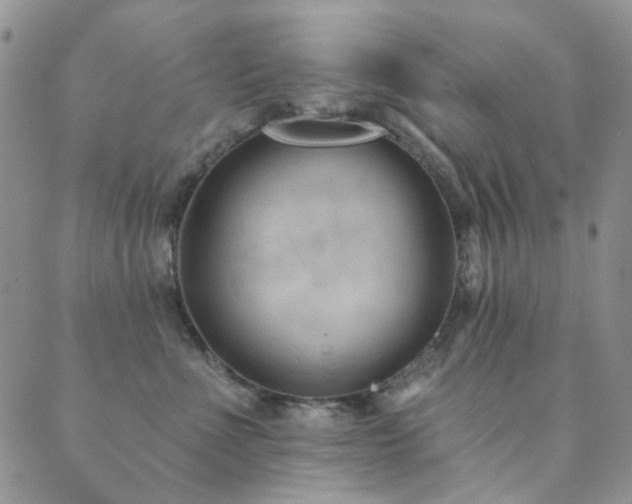 X0000089660523200706211132