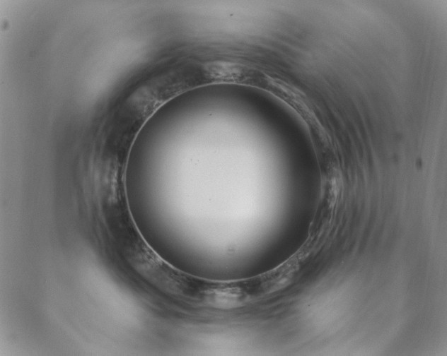 X0000089660525200706211132