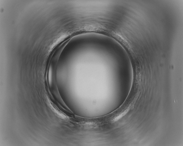 X0000089660530200706211131