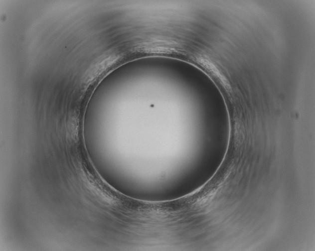 X0000089660533200706211131
