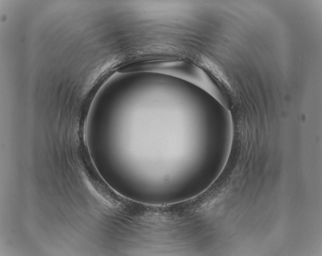 X0000089660538200706211131