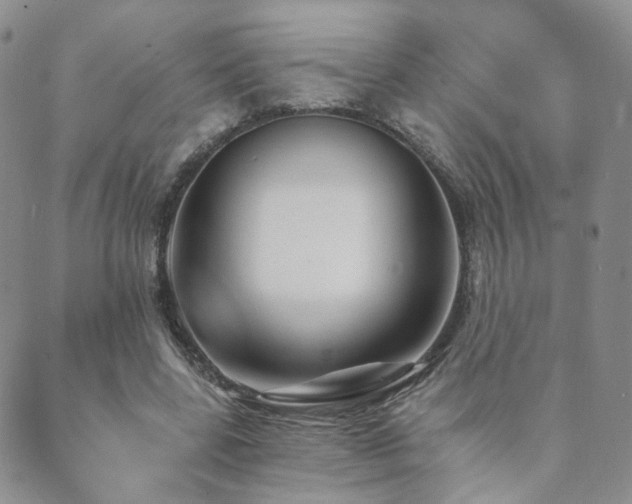 X0000089660539200706211131
